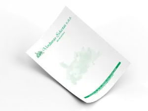 ✒️ Libretas de Recibos, Facturas y Talonarios 5 Hoja membretada